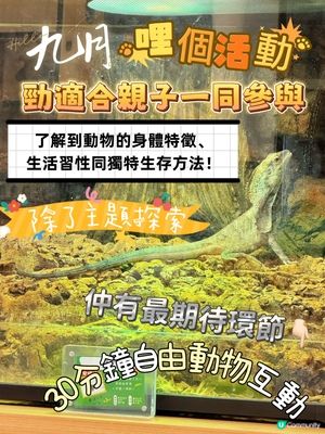 My Mini Zoo 新主題《動物生存學院》🦁