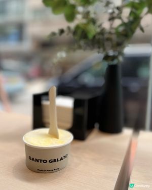 Ganto Gelato | 創新口味gelato 