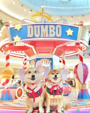 🐘我哋去探Dumbo過聖誕🎄