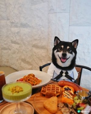 放假落雨唔怕！室內陪食😋必食開心果奶凍🤤