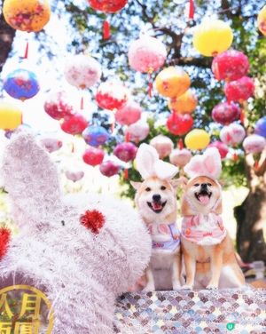 中秋節的香港公園