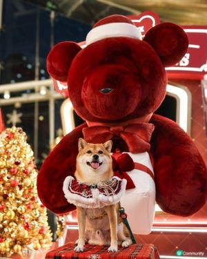 Megabox 聖誕熊啤啤