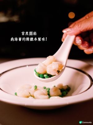 尚海薈朝聖🍽️味覺華麗遊！🤤