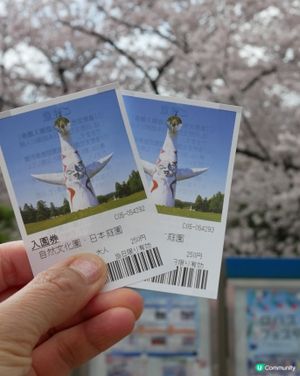春天櫻花打卡🌸