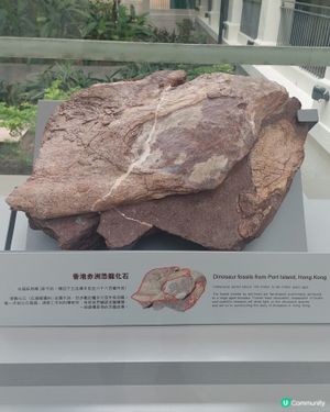 香港文物探知館