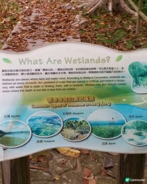 社企餐廳要支持一下