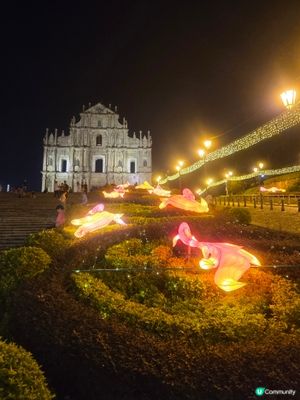 


澳門必食 澳門必買 澳門必玩 澳門打卡 葡撻 豬