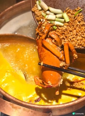 期間限定金湯龍蝦有米鍋