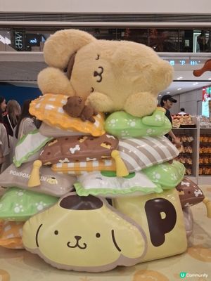 🎀🎀Pompom purin 30周年主題限定店🎀🎀