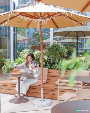 新開寵物友善cafe｜啟德