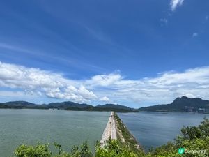 精美典雅別緻《大美督》