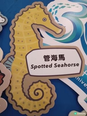 海岸公園3️⃣0️⃣週年！🌊🐠🐾