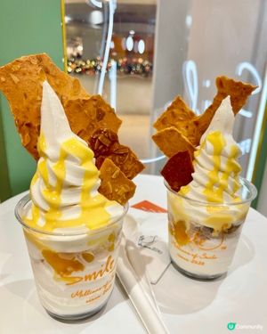 健康低脂乳酪🍦寵物都食得🐕！