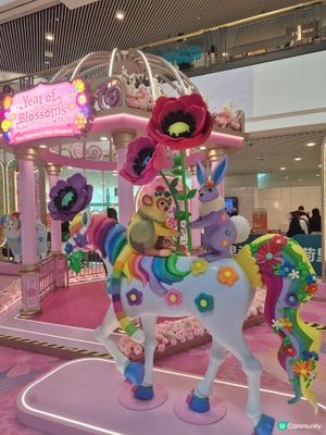 荷里活廣場 - Yr of Blossom 🌸 2026
