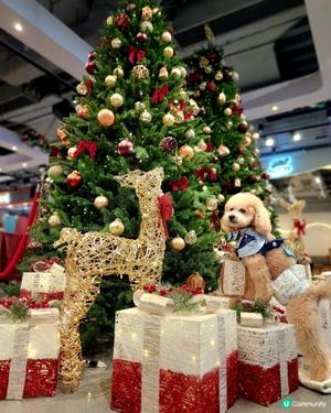 海港城聖誕打卡
