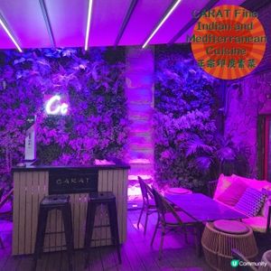 正宗高檔印度素菜