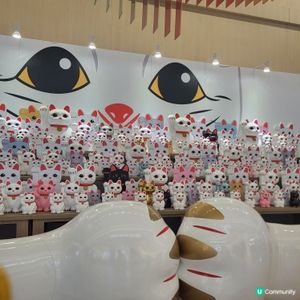 港版豪德寺🐱招財貓打卡牆