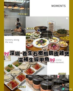 🎀深圳｡養生石橄欖脆皮雞煲 滋補生蠔甲魚🎀