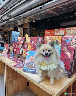 台灣來了人寵市集