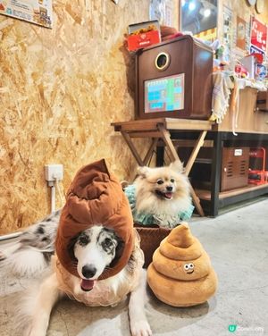 寵物便便都可以儲積分換獎品？