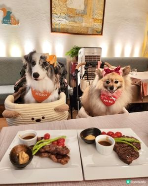 同毛孩一齊嘆 Semi Buffet🍽️