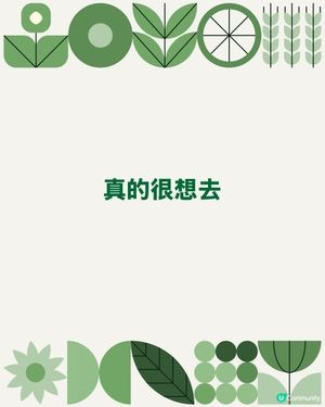 很想去自，可惜要返工未能去睇！