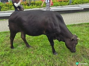 

UCreator 打卡美食 全新景點 chill 隱世打