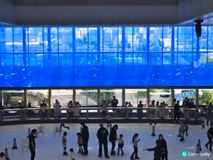 溜冰場
