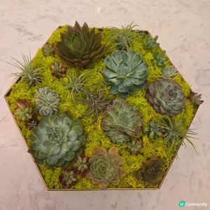 W

澳門必食 澳門必買 澳門必玩 澳門打卡 豬扒包 葡撻 