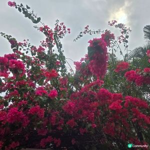 艷陽天

UCreatorUCreator打卡美食打卡美食好