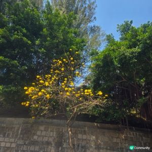 

UCreatorUCreator打卡美食打卡美食好去處好