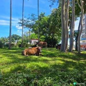 



UCreator 打卡美食 好去處 全新景點 chi