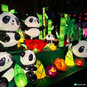 維園追月記🏮本土特色燈飾勁靚🤩