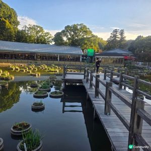 日本好去處 UCreator 日本櫻花 旅行打卡 旅行美食 