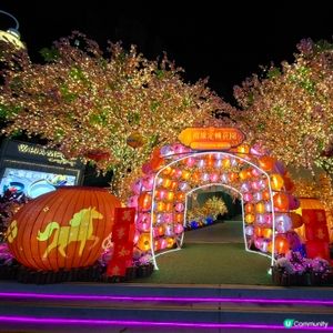 ✨2026農曆新年好去處💞黃埔靚靚打卡位-幸福緣定桃花園