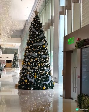 🎄觀塘巨型聖誕樹打卡位！🤩