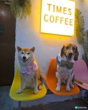 Times Coffee (pet friendly ）