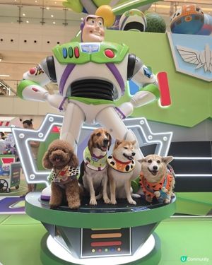 星級萌友🦖齊齊反斗