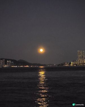 紅磡海濱花園賞月🌕！維港靚景任你睇🤩！