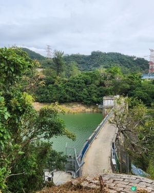 金山郊野公園🐒 睇馬騮、行水塘🏞️！