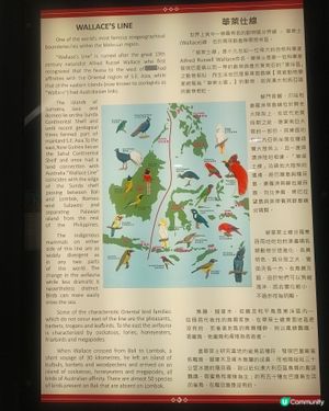 鳥園奇遇記🌳🐦