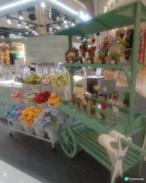 🥳 靚花任拎！旺角打卡免費送！💐