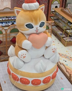 貓貓