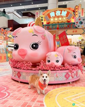 青衣城【童遊時光新春市集】