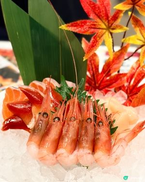 《款式選擇繁多 味道高水準🔥》