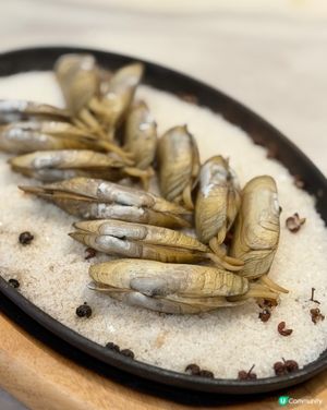 鐵板蟶子鮮又彈 😋