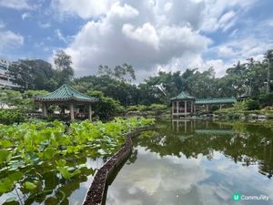 粉嶺康樂公園的真實情況｡小而精,簡潔､實用,處處以人為本｡ 