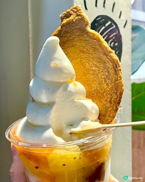 水準穩定 🍦健康乳酪雪糕