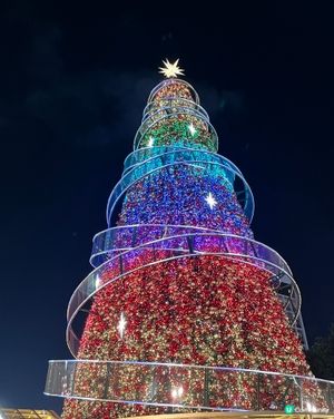 香港繽紛冬日巡禮位於中環皇后像廣場，夜晚聖誕樹打燈好美！
