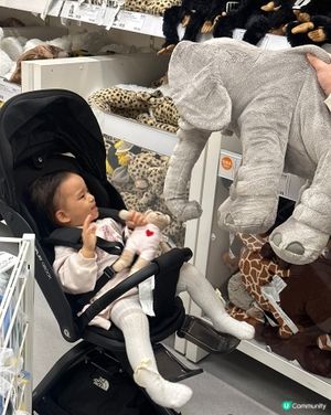 睇動物（公仔）